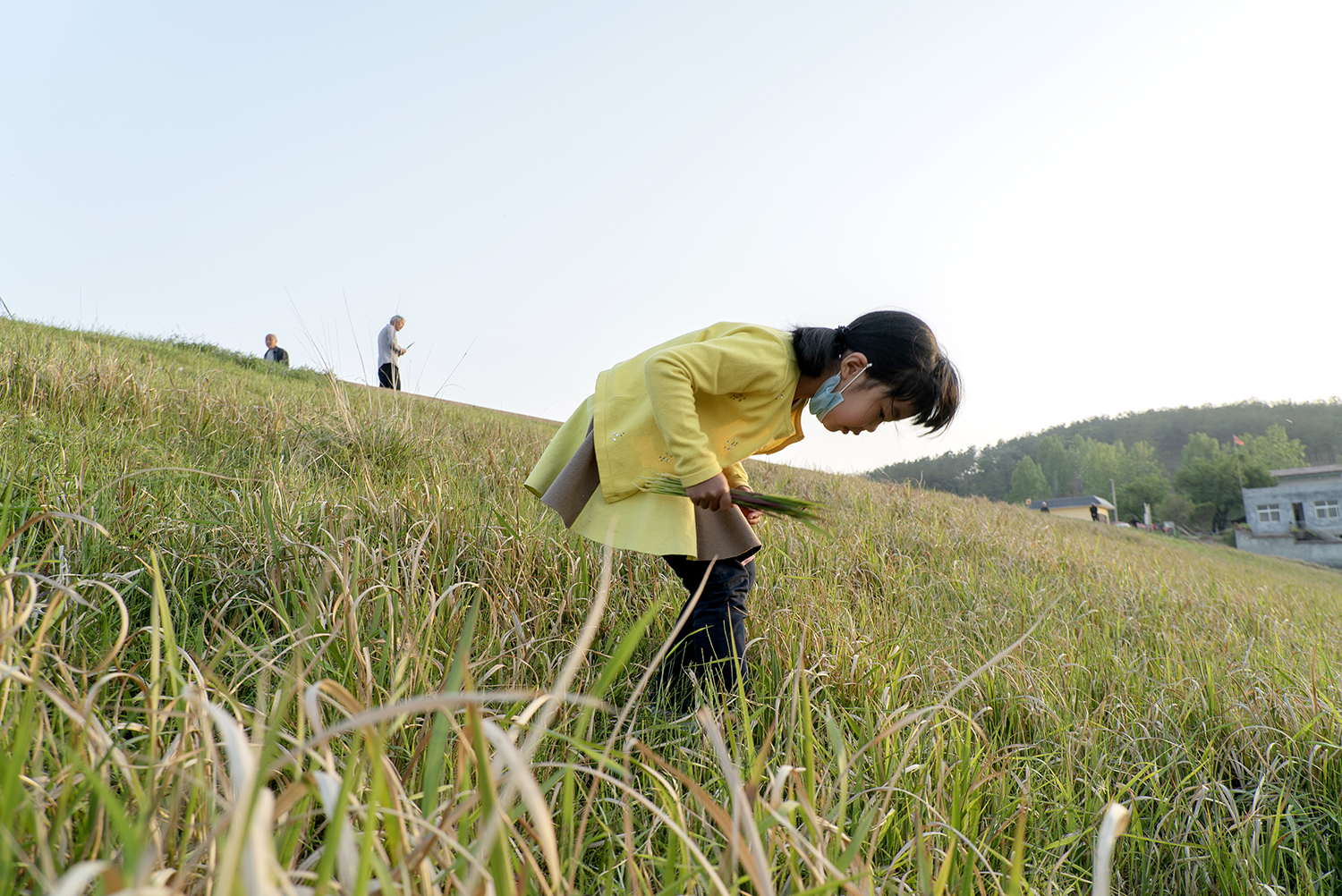Native-born(on going)
